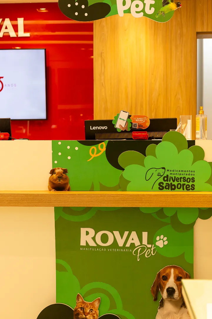 Roval Recife - 22